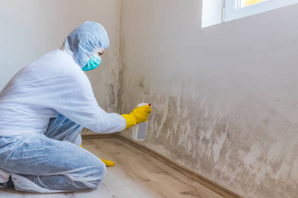 Licensed Commercial Mold Remediation service in Houston, TX - 24 Hour Mold Removal