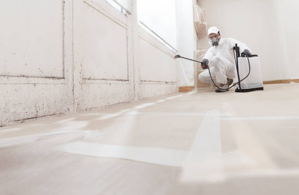 24/7 Emergency Commercial Mold Remediation experts in Houston, TX