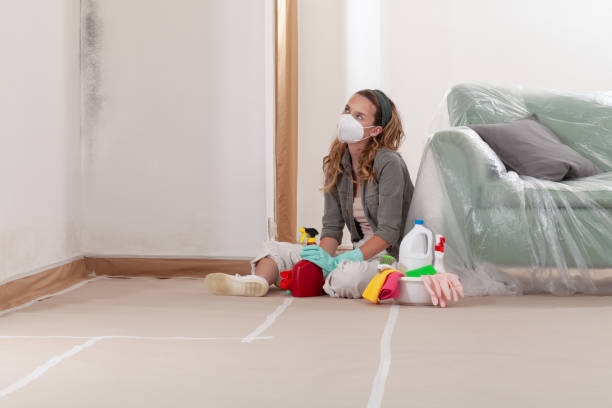 Reliable Commercial Mold Remediation contractor in Houston, TX by 24 Hour Mold Removal