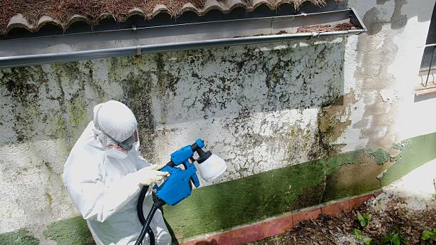 Top rated local Commercial Mold Remediation specialists in Houston, TX
